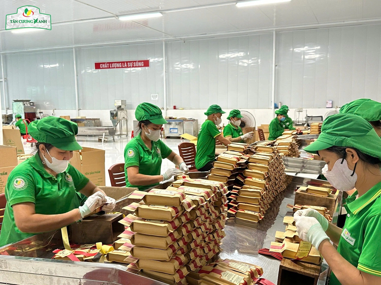 Cần tuyển nhân viên phụ đóng gói